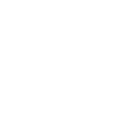 photos de mariage icone