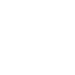 portraits en action icone