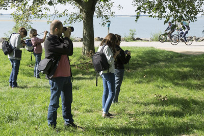 formation photo illustration