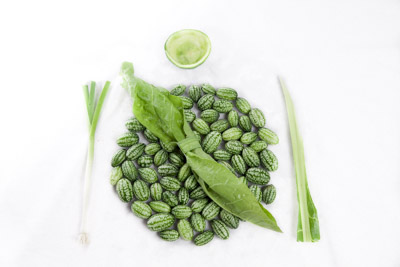 illustration photography