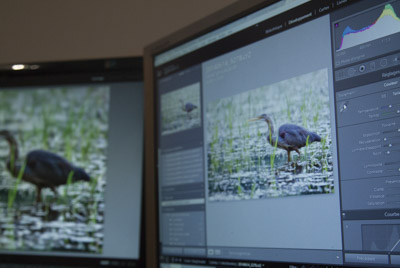 retouche photo illustration