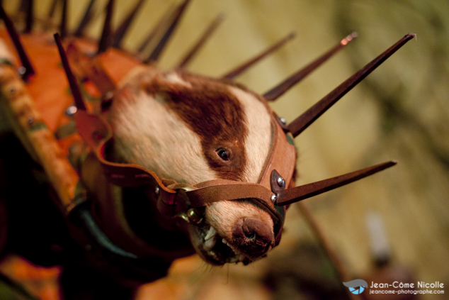 illustration halloween