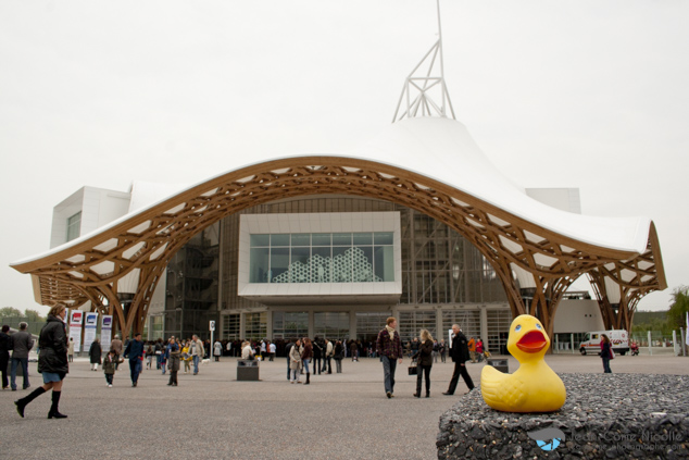 Limoné canard voyageur