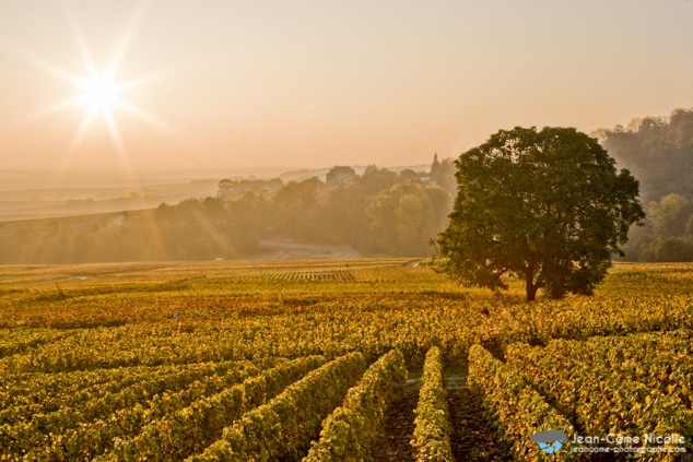 Paysages de Champagne-Ardennes, France