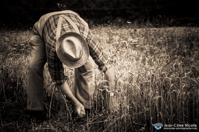 Série photographique sur les vieux métiers d'autrefois